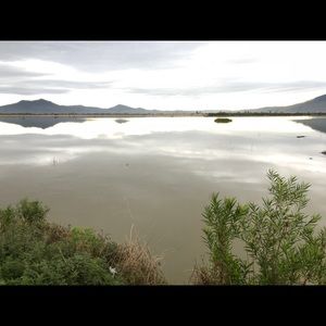 Meet your Posher, Nora